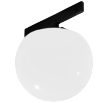 Трековый LED светильник шар с матовым рассеивателем 6Вт 350&deg; 3000-6000K CCT &Oslash;95мм 24V черный серия PROFESSIONAL