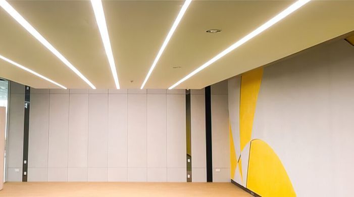 Лінійний профільний LED світильник вбудований під замовлення 80Вт 3000К 4000К 2000х67х50мм серія PROFESSIONAL