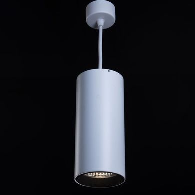 Точечный подвесной LED светильник под заказ 13-30Вт &Oslash;90х200мм серия PROFESSIONAL